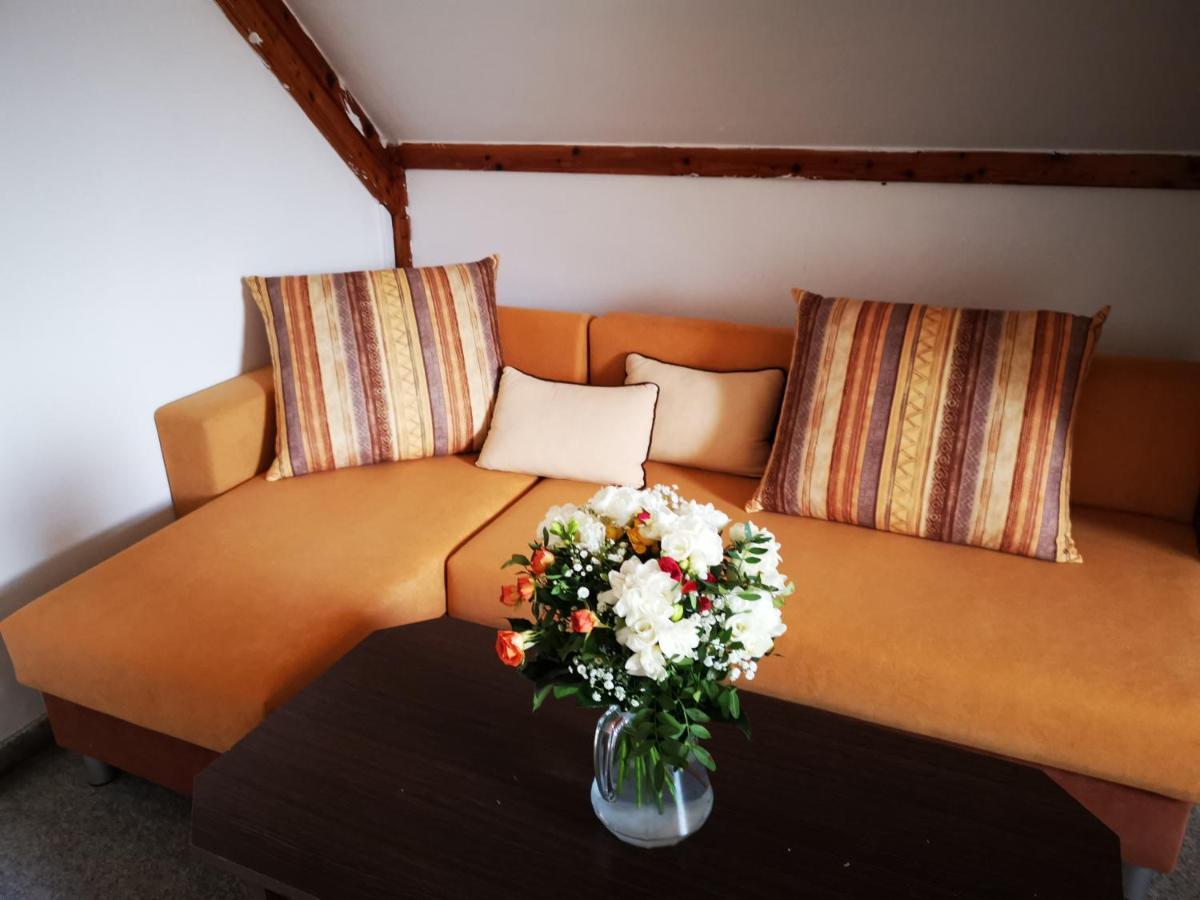 Penzion Tomy Na Plazi Hotell Frymburk Exteriör bild