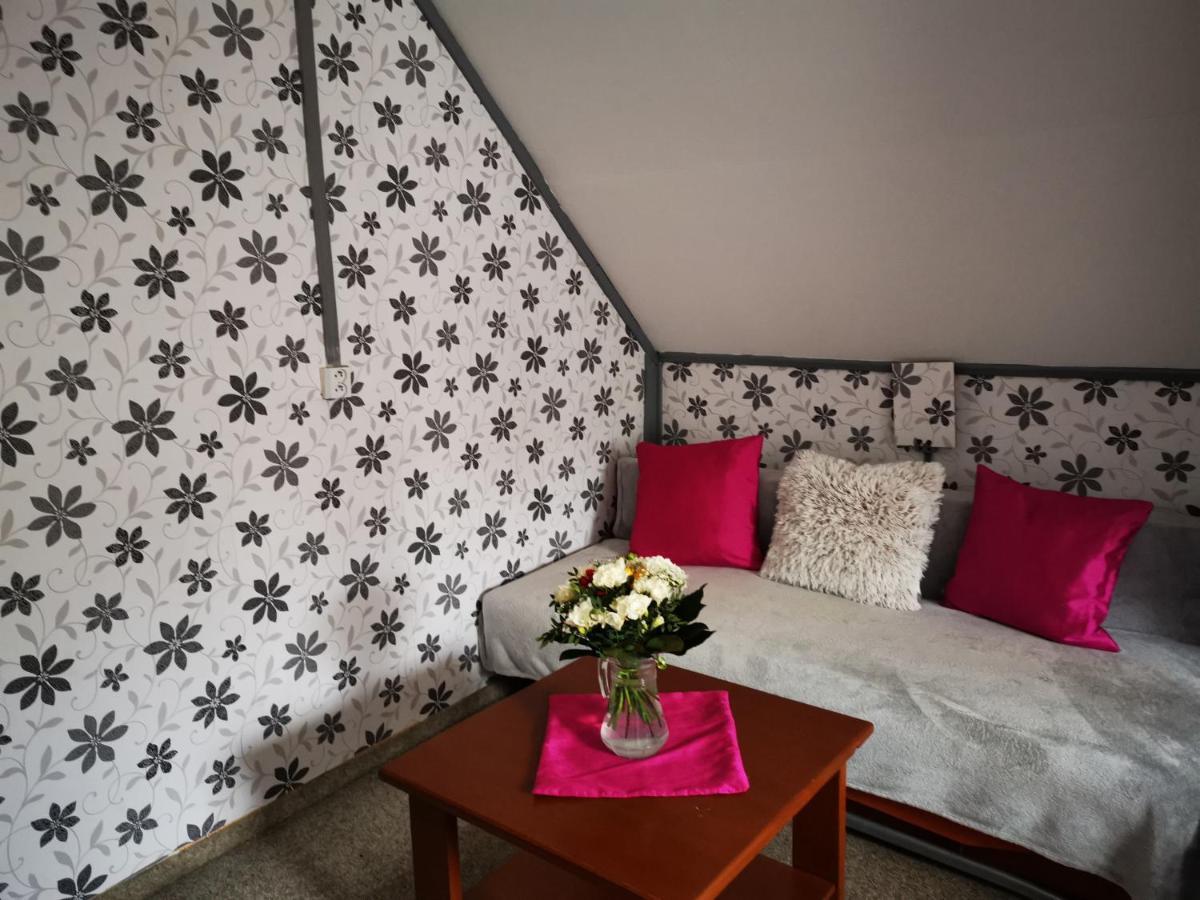 Penzion Tomy Na Plazi Hotell Frymburk Exteriör bild